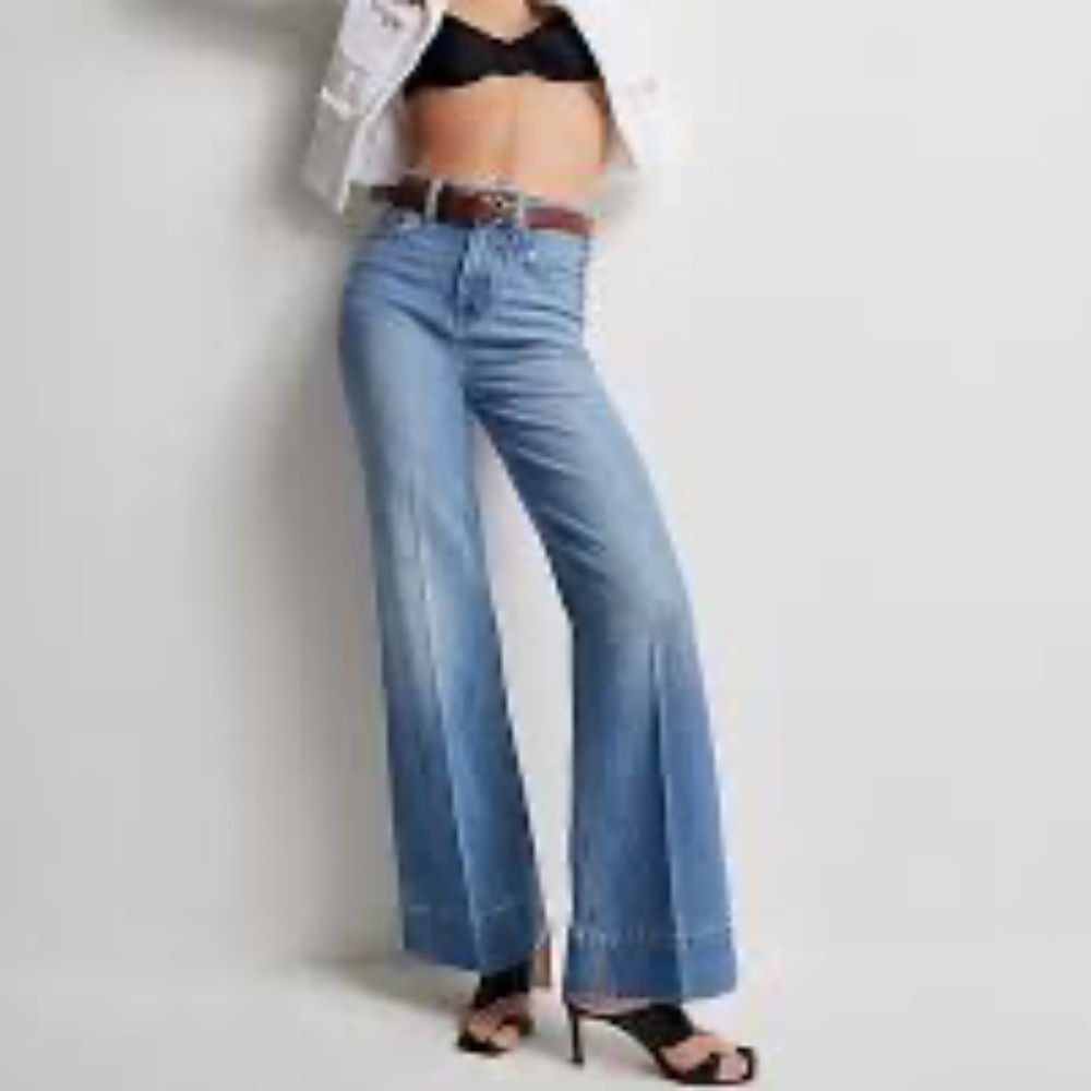 J. Crew Wide Leg Denim Trouser Petite 30P - Chambray Blue